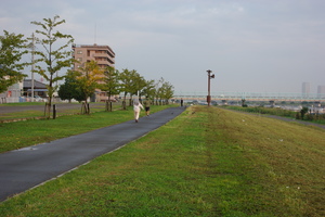 IMGP0501.JPG