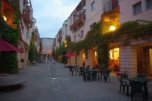 IMGP0809.JPG